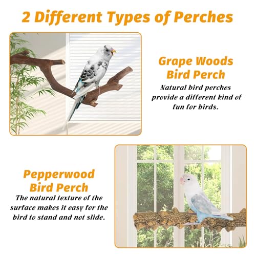 kathson 5pcs Natural Parrot Perch for Cage Wooden Bird Perches Grape Bird Stick Parakeet Climbing Standing Branches Toy Chewable Cage Accessories for Small Budgies Cockatiels Lovebirds Budgies