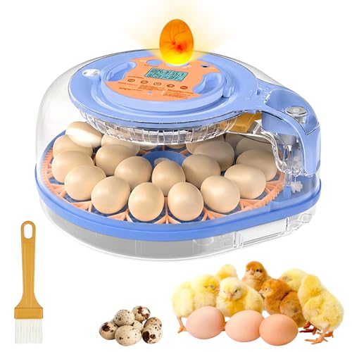 26 Eggs Incubator with Voice Control, Automatic Egg Turning & Humidity Control, °F/°C Switchable, Built-in Egg Candler, Poultry Hatcher for Chicken Duck Bird Eggs - Blue - color: Blue