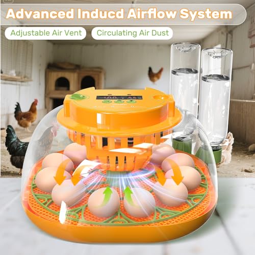 Incubators for Hatching Eggs, 12 Egg Incubator with Automatic Egg Turning and Humidity Control, Egg Candler, Auto Water Replenishment, Air Vent, for Hatching Chicken Duck Quail Goose Eggs