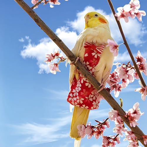 2 Pcs Bird Diapers Bird Harness Flight Suits Diapers with 80in Flying Leash Reusable Parrot Nappy with Waterproof Inner Layer for Cockatiel Budgie Conure Parakeet Lovebird-Red&Green