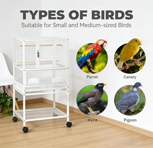 Garvee Small Bird Cage, 32" H Bird Carrier with Storage Shelves, White Travel Bird Cage for Parrot, Acrylic Parrot Carrier for Medium Small Bird