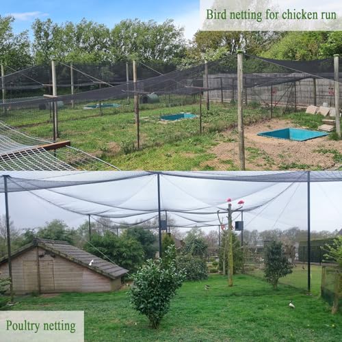 Bird Netting for Chicken Coop 25x25 Ft, 1/2" Mesh Aviary Netting | Woven Chicken Run Roof Cover, Protects Against Hawks & Predator, Heavy Duty Bird Net for Fruit Trees & Garden Protection - size: 25x25Ft-1/2"