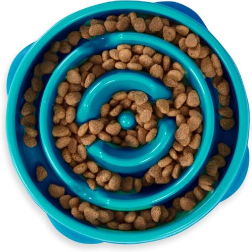 Outward Hound Fun Feeder Slo Bowl – Medium 2‑Cup Capacity,Slow Feeding,Small to Medium Dogs & Cats,Non-Slip,Turquoise,Drop Pattern,(Pack of 12) - color: Turquoise, size: Medium (Pack of 12)