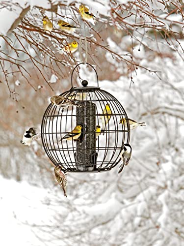 Gardener's Supply Company Globe Cage Bird Feeder | Outdoor Sturdy and Squirrel Proof Hanging Cage | Best for Finches Hummingbirds Nuthatches and Other Small Birds - Holds 3 Cups of Seeds