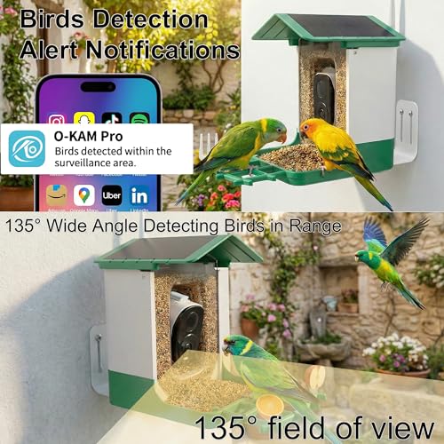 Ceeyali Smart Birds Feeder with Camera and 64GB Memory Card, 2K HD Video & Photo Live View, Solar Powered Panel, AI Birds Identification, 2.4G WiFi, 2.1L Seed Capacity (Green) - color: Green