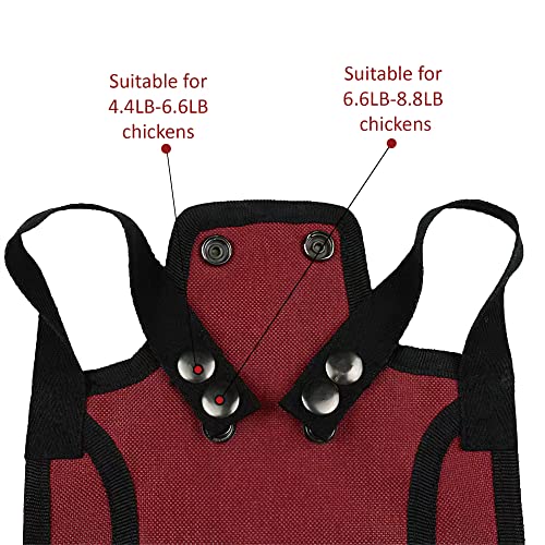 Chicken Saddle for Hens, Poultry Saver with Adjustable Strap, Feather Protector for Back and Sides, Outdoor Hen Apron