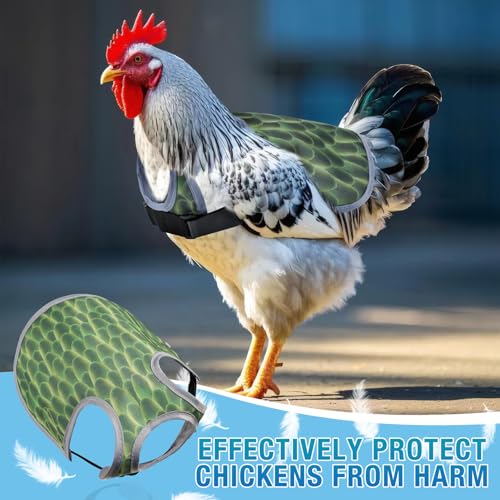 Chicken Saddle for Hens - Chicken Aprons for Hens With Adjustable Straps, Chicken Aprons & Vest Jacket for Hens - style: Green Feather