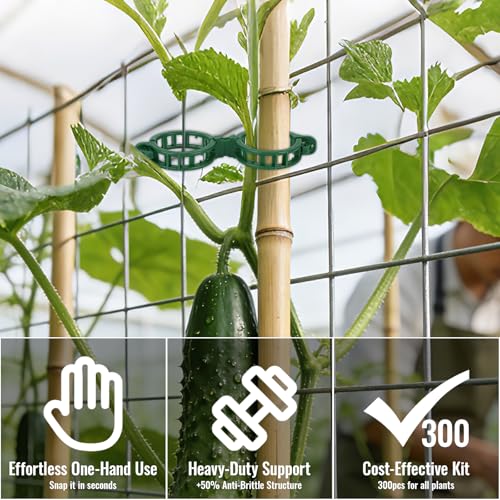 300Pcs Thickened Tomato Clips, Plant Support Clips Plastic Trellis Clips | Plant Clips for Grape Vine, Tomato Vine, Vegetable Plants, to Grow Upright Makes Plants Healthier, Green - color: Green