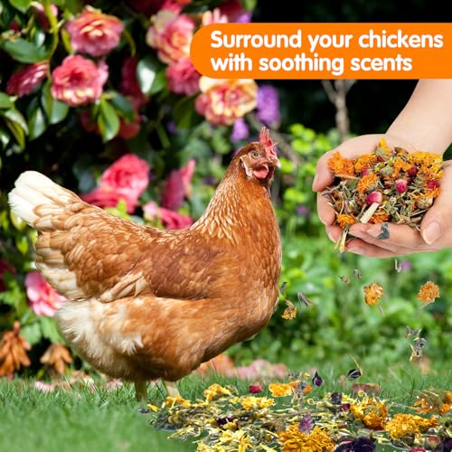 14.8 Oz Nesting Herbs for Chicken Coop - 10 Natural Dried Herbs for Chicken Coop Accessories, Hens Accessories and Must Haves for Bedding - for Chicken Coop Deodorizer Freshness Egg Production