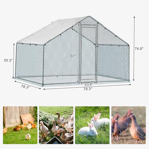 Large Metal Chicken Coop with Run, Walkin Chicken Coop for Yard with Waterproof Cover, Spire Roof Large Poultry Cage for Hen House, Duck Coop and Rabbit Run (6.5x6.5x6.5ft) - size: 6.5x6.5x6.5ft