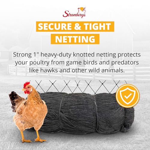 Stromberg's 1" Knotted Netting, Game Bird Netting for Pheasants & Quails, Heavy Duty, Chicken Coops, Gardening, UV-Resistant, 85 lb. Break Strength, 25'x25' | For Pheasants & Quails, Heavy Duty, Chicken Coops, Gardening, UV-Resistant, 85 lb. Break Strengt
