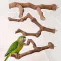 3PCS Natural Grapevine Bird Perch Set for Cage, Parakeet Cage Accessories