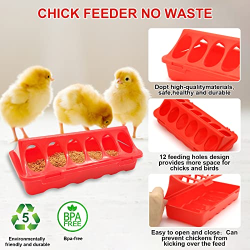 Chick Feeder and Waterer Kit with Chick Perch, Chicken Coop Heater,1L Chick Waterer, Flip Top Poultry Feeder, Chick Starter Kit for Chick Brooder, Baby Chicken Supplies for Baby Chick, Duck and Quail