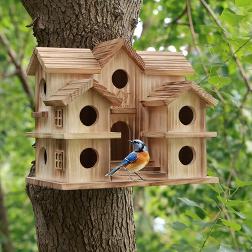 10-Room Purple Martin Bird House – Handcrafted Solid Cedar, Weatherproof