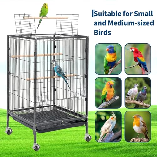 35" h Metal Bird Cage,Large Bird Cage with Play Open Top, Rolling Flight Cage Rolling for Parakeets, Canaries, Lovebirds, Small Quaker, Cockatiels, Budgies