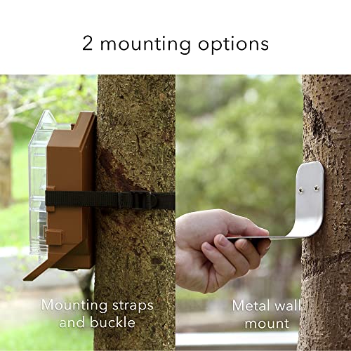 Wasserstein Bird Feeder Camera Case Compatible with Blink, Wyze & Ring Security Cameras Including Blink Outdoor 4, Wyze Cam OG & Ring Stick Up Camera (Camera NOT Included)