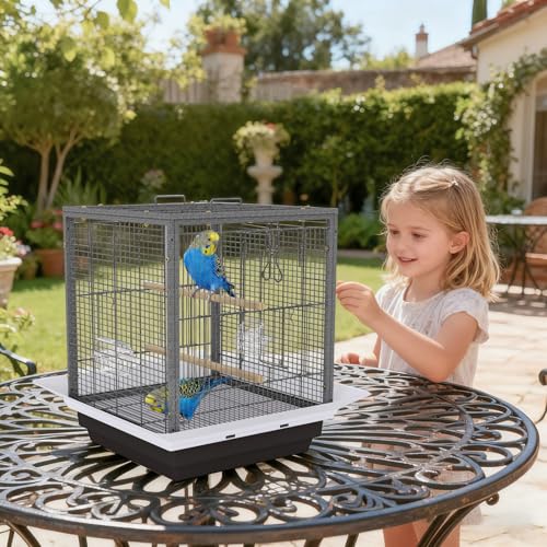 Garvee Small Bird Cage with Playground Stand, 20 Inch High Travel Bird Cage for Parrot, Parrot Carrier for Parakeet, Cockatiels, Budgies Medium Small Sized Birds