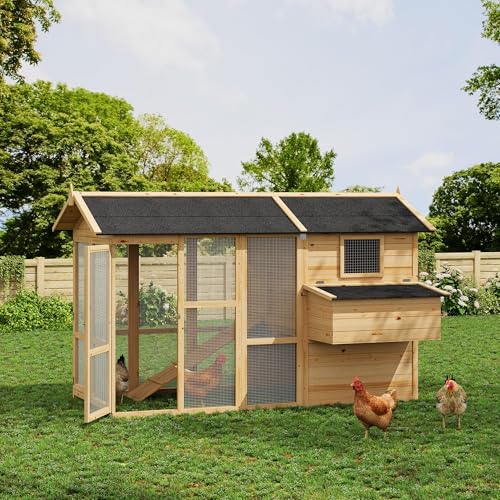 IDEALHOUSE Large Outdoor Chicken Coop for 4-6 Chickens Wooden Hen House with Waterproof Asphalt Roof, Ramp, Nesting Box, Wire Fence, (80" x 35" x 54") Natural