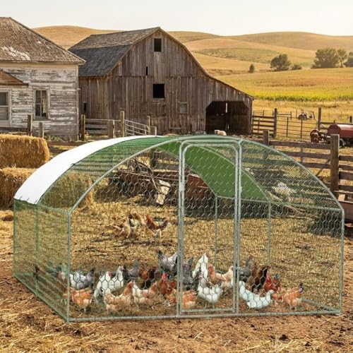 Large Chicken Coop for Yard, Large Metal Chicken Run, Walk-in Poultry Cage with Waterproof and Anti-Uv Cover for Outdoor Backyard Farm, Doom Roof, 9.8×13.1×6.6ft - size: 9.8×13.1×6.6FT