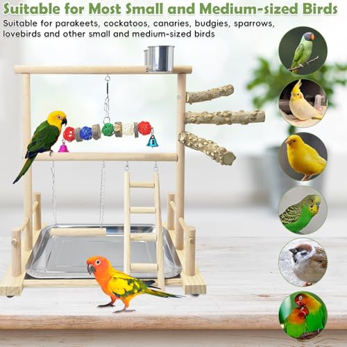 kathson Bird Playground Parrot Perch Stand Toys, Birds Wood Play Gym Activity Center Exercise Playpen Ladder Swing with Feeder Cups Chewing Toy(Include a Tray) - size: Two floors