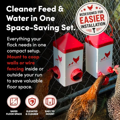 RentACoop Chick2Chicken 5lb 2-Port Feeder and 1-Gal Small Cage Waterer Set