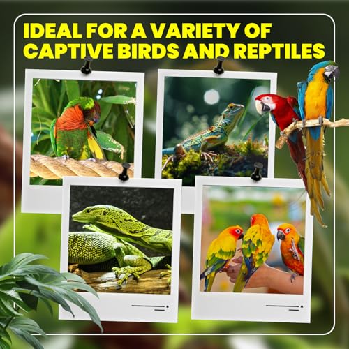 GlowUp 23W UVB Bulb for Bird, UVB 2.4 Compact Fluorescent Light Bulb E26 Birdcage Compact UVB 2.4 Lamp for Captive Birds and Reptiles - size: 23W UVB 2.4 Light Bulb