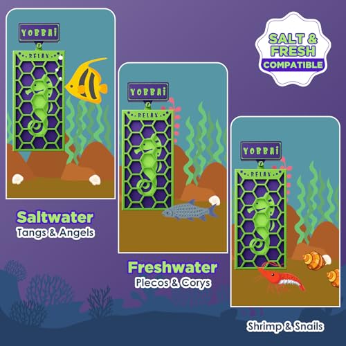 YOBBAI Magnetic Seaweed Feeder, Swinging Motion Nori Feeder, Seaweed Clip for Tangs Angels Freshwater and Shrimp Tanks (Green & Purple) - color: GREEN & PURPLE