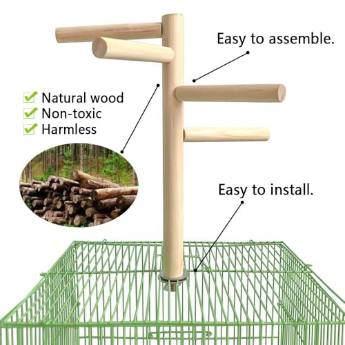 Bird Perch Stand Toy Natural Wood Parrot Perch Parakeet Cage Top Wooden Branches for Standing Toys for Small Medium Parrots Conure Budgie Lovebirds