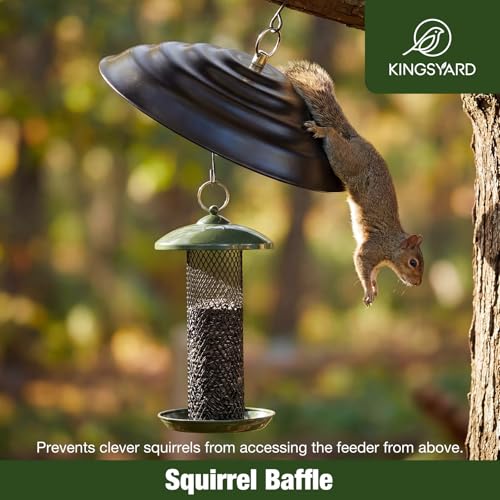 Kingsyard Metal Squirrel Baffle for Bird Feeders Hanging, Rain Guard Cover | 11 in, Chew-Proof & Squirrel-Proof, Ready to Use, Fits Most Feeders Outdoors, Weatherproof, Easy to Clean, Black - color: Black