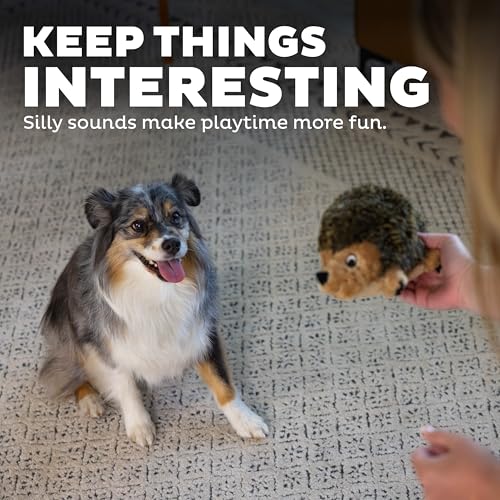 Outward Hound Hedgehogz Plush Dog Toy, Squeaks & Grunts, Medium, 9" x 6.5" | Soft Realistic Faux Fur, Round for Rolling & Chasing, Cuddle & Carry, Interactive Fetch, Light Chewers, Dogs & Puppies - size: Medium (Pack of 1)