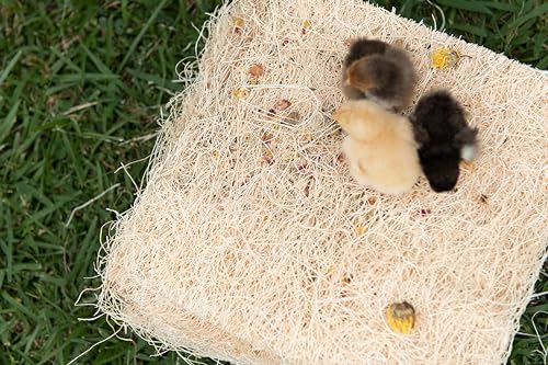 Chicken Nesting Pads with Aromatic Nest Herbs | Natural Excelsior Aspen Fiber Poultry Bedding | 13 x 13 Inches | Pack of 10 - style: With Aromatic Herbs