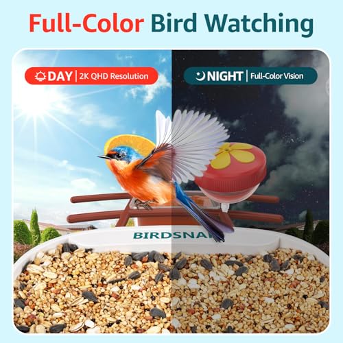 birdsnap® TUC Bird Feeder with Camera Solar Powered 2K Video with 32GB Card | AI Bird Species Identification, Squirrel-Proof, IP65 Waterproof, Outdoor Wireless, 2.4G WiFi, Gift for Mom Dad Bird Lovers - color: Red