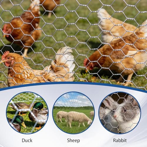 WFLNHB Hexagonal Chicken Wire Poultry Netting Galvanized Mesh Garden Fence Barrier Fence Mesh Roll 6Feet x 150Feet - size: 6FTx150FT