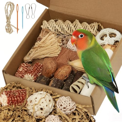 Bird Toys Parrot Natural Foraging Box Parakeet Toys DIY Hanging String for Cockatiels,Conures,Love Birds,and Other Small to Medium Birds Cage Accessories (Medium) - size: Medium