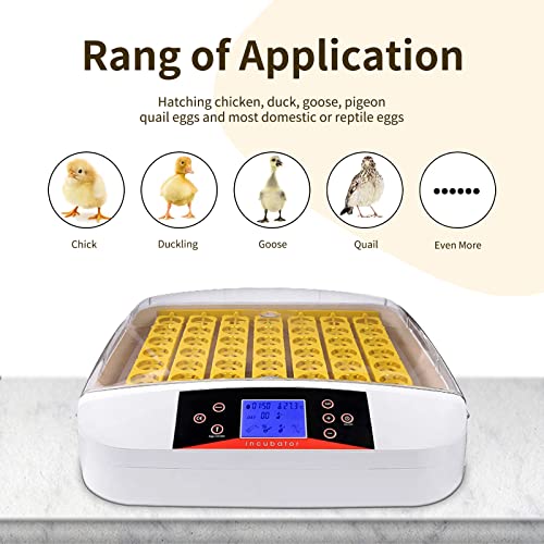 Egg Incubator ，56 Eggs Fully Automatic Egg Incubator with LED Lighting Automatic Turner and Intelligent Temperature Control， for Eggs/Duck Eggs/Bird Eggs/Goose Eggs Hatching