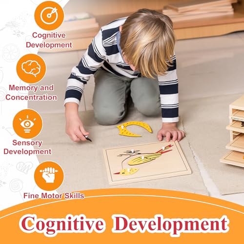 Montessori Bird Anatomy Puzzle, Wooden Body Parts Learning Toy, Preschool Science Puzzle for Kids Ages 3-6, Classroom & Homeschool, Baltic Birch - color: Bird