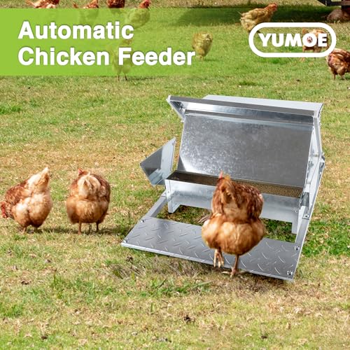 Rat Proof MAX-25Lbs Treadle Chicken Feeder No Waste Poultry Feeder | Weatherproof galvanized metal durable, Rodent-proof design, Reduces feed waste, Well-constructed, Easy setup