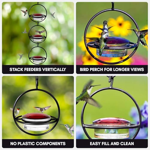 Hummingbird Feeder for Outdoors Hanging, 3.4 OZ Hummingbird Feeders, Glass Bowl with 4 Feeding Ports, Leak Proof Lid & Circular Perch, Bird Feeder (1, Black) - color: Black