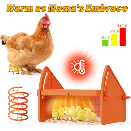 Chick Brooder Heater Plate for Baby Chicks, Ducklings & Poultry | 3-Level Adjustable Temperature Heating Plate, 8.67 x 10.63 Inches, Orange Poultry Brooder Warmer - color: Orange, size: 8.7"L x 9.8"W x 13.0"H