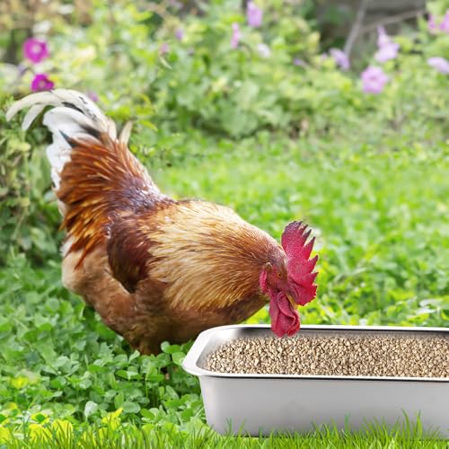2 Pack Heavy Duty Metal Chicken Feeder Trough Water Feeder Large Capacity Feed Trough Bucket for Chicken Duck Pig Deer Livestock Pet Poultry