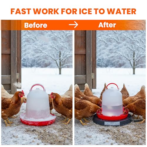 Chicken Water Heater for Winter – 125W Livestock Water Heater for Plastic Tank or Metal Water Bucket (5–7 Gallons 15.35") Base Plate Heated Chicken Waterer, Calentador de Agua para Pollos