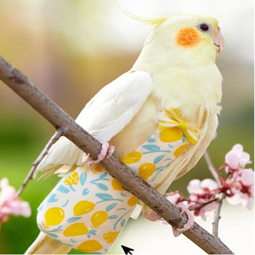 2 Pack Bird Diaper Parrot Nappy Bird Flight Suits Harness Cockatiel Diaper Small Birds Clothes for Parakeet Cockatiels Mini Macaw Budgie Canary Pigeon Conure Budgies Mini Macaws Small Size