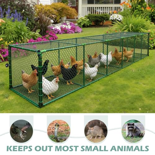 Heavy Duty Chicken Tunnel - 6-Section Portable Chicken Run with PVC Coated Wire Mesh & Steel Frame, Outdoor DIY Chicken Tunnel for Yard, Predator-Proof (1, 141 * 24 * 24 inches) - size: 146*24*24 inches