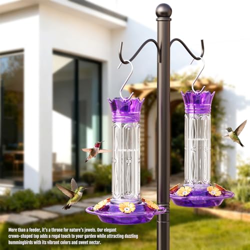 Birdream 10oz Hummingbird Feeders for Outdoors, Plastic Hummingbird Feeder with 5 Bee Guard Feeding Ports & Cleaning Brush, Gift Box Design, Leak Proof, Built-in Ant Moat, Purple - color: Purple, size: 1 Pack