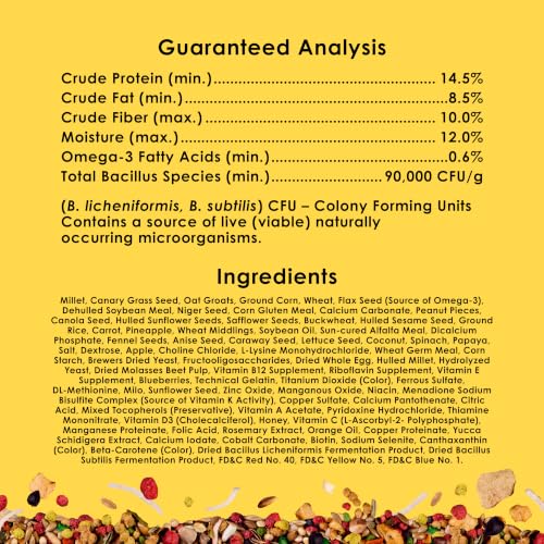 Kaytee Fiesta Parakeet Bird Food, Nutritious and Fun Blend, Supports Skin, Feather, Digestion, Brain and Heart Health, Bird Seed Mix, 2 Pounds - size: 2 Pound (Pack of 1)
