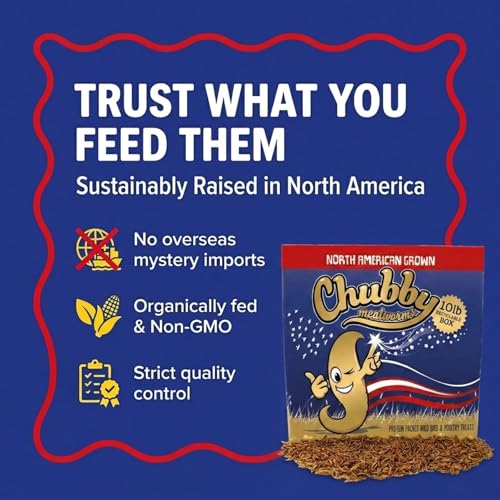 Chubby North American Grown Dried Mealworms | 10 lbs | Non-GMO High-Protein Treats for Chickens, Ducks & Wild Birds – Sustainable Chicken Feed - size: 10Lbs