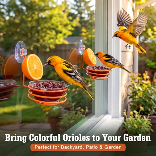 2 Set Window Oriole Feeders for Outdoors, 6 oz | Hanging Metal Oriole Bird Feeder for Jelly and Oranges with Fruit Holder & Strong Suction Cup for Window, Garden, Patio