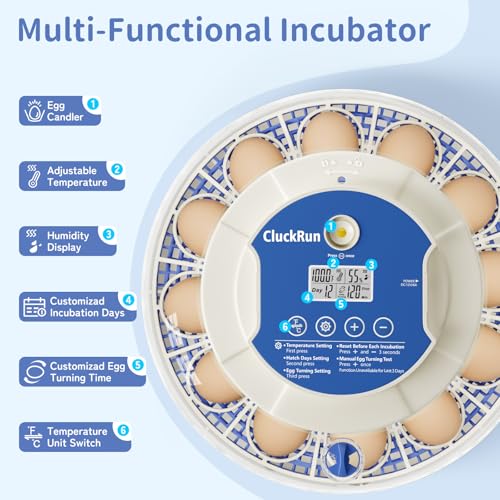 18 Egg Incubators for Hatching Eggs, Incubation Day Display, 2 Egg Trays, Automatic Egg Turning, Built-in Egg Candler, Auto Refill, Adjustable Air Vent, for Chicken, Quail, Duck, Turkey & Goose Eggs