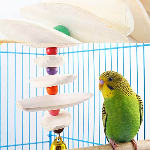 Afkengung 6 Pieces Natural Cuttlebone Calcium Block for Birds Parakeets Reptiles Turtles Grindable Powder Feeding Natural Calcium Supply Improve Pet Immunity Each 4.3-5.1 Inch