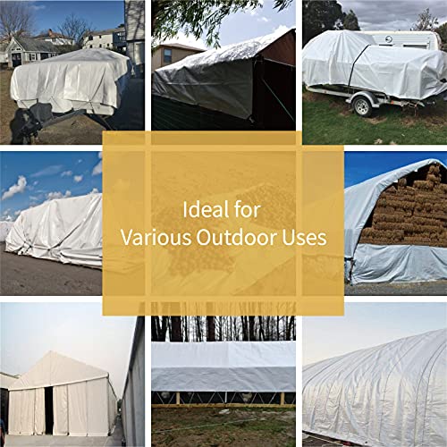 GUARD SHIELD Extreme Heavy Duty White Poly Tarp 8x10 Feet Cover Waterproof Tarps 20mil Thick UV and Tear Resistant Tarpaulin - color: White, size: 8x10
